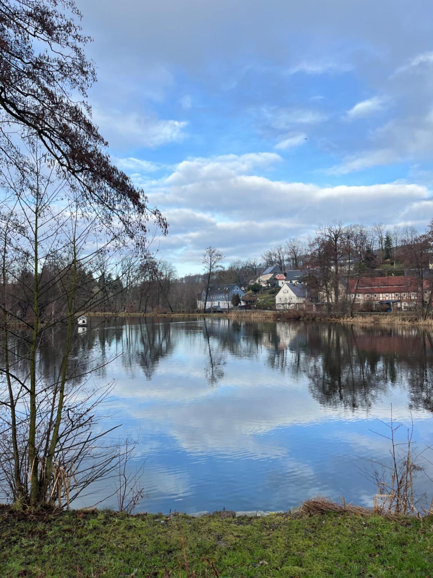 Ferienwohnung Idyll Am Weigsdorfer Teich Cunewalde Extérieur photo